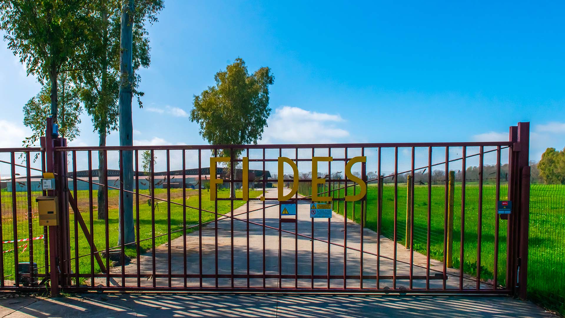 Fides Funghi - Produzione Compost Funghi Latina